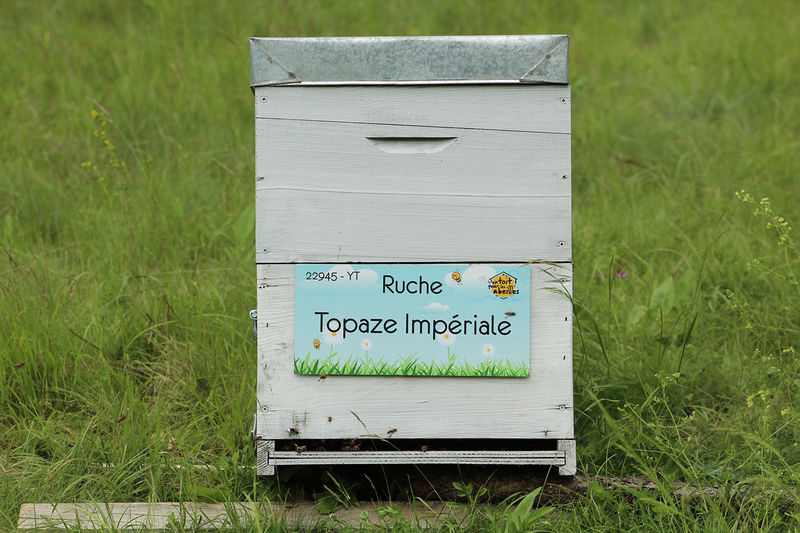 La ruche Topaze Impériale