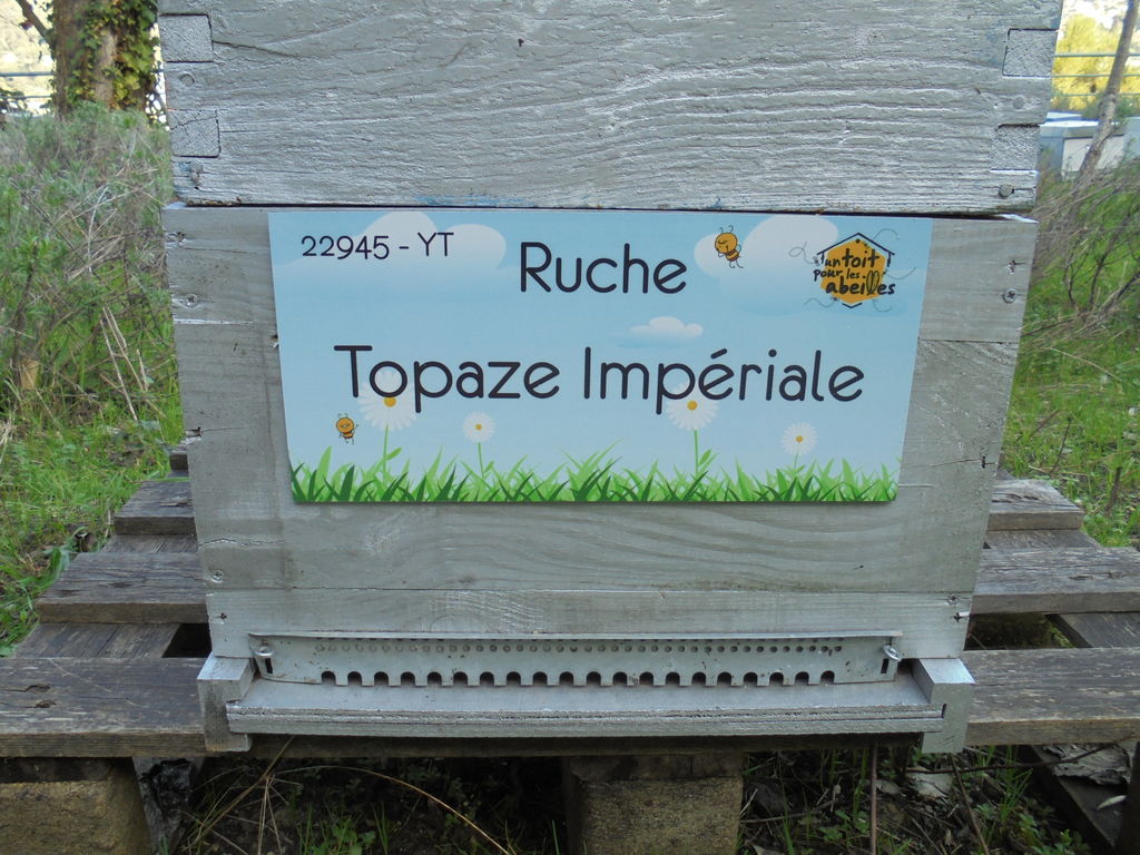 La ruche Topaze Impériale