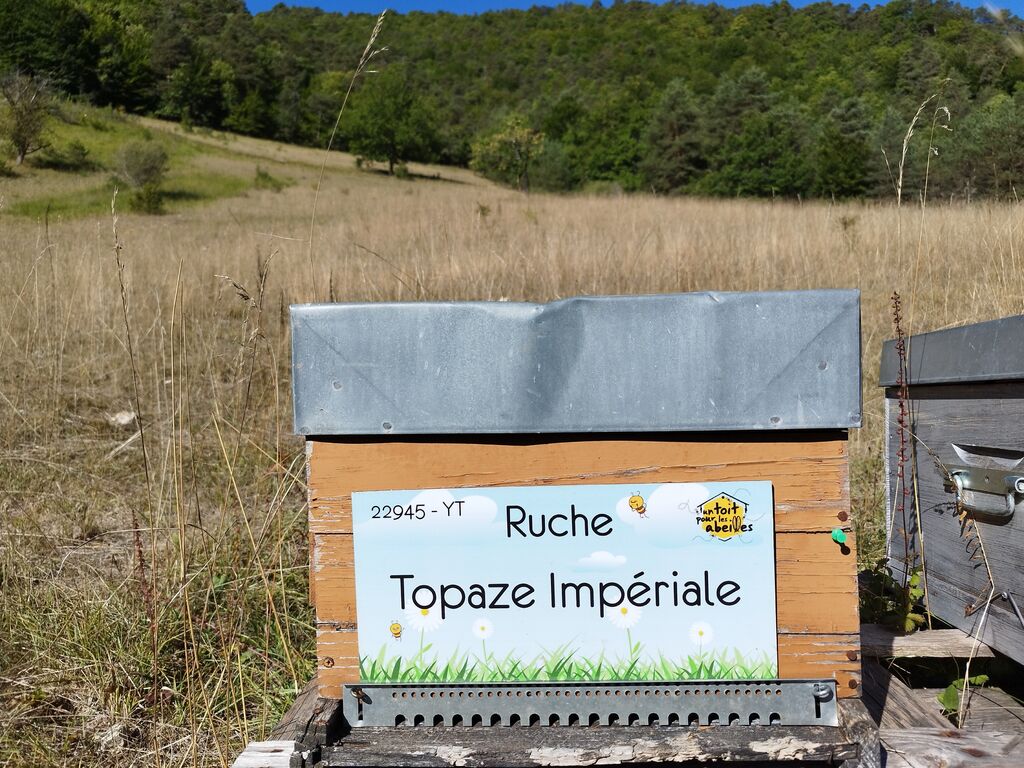 La ruche Topaze Impériale