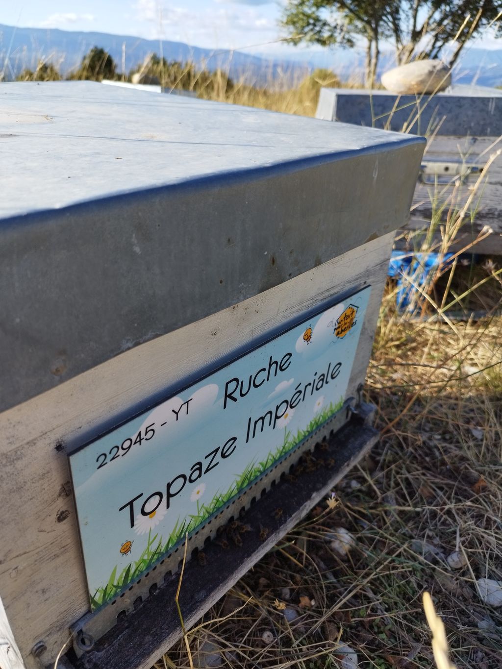 La ruche Topaze Impériale