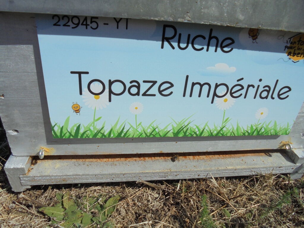 La ruche Topaze Impériale