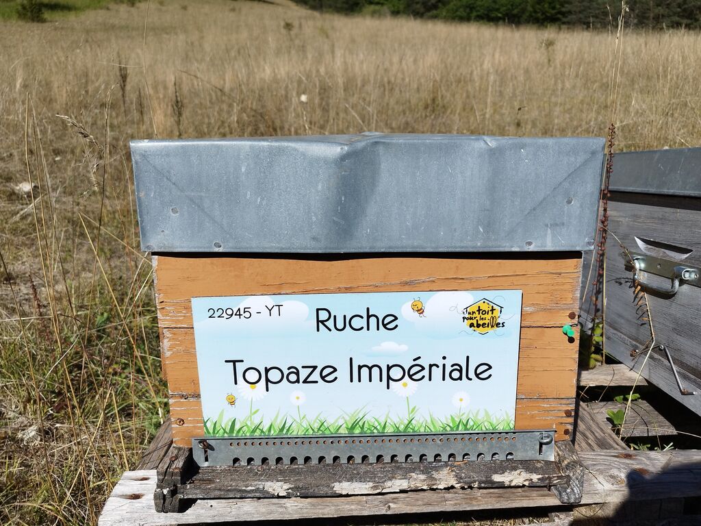 La ruche Topaze Impériale