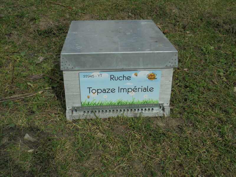 La ruche Topaze Impériale