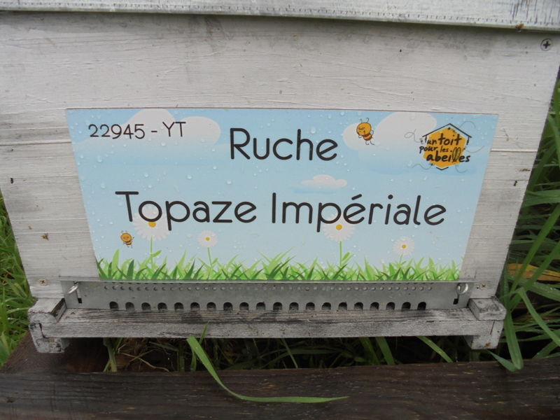 La ruche Topaze Impériale