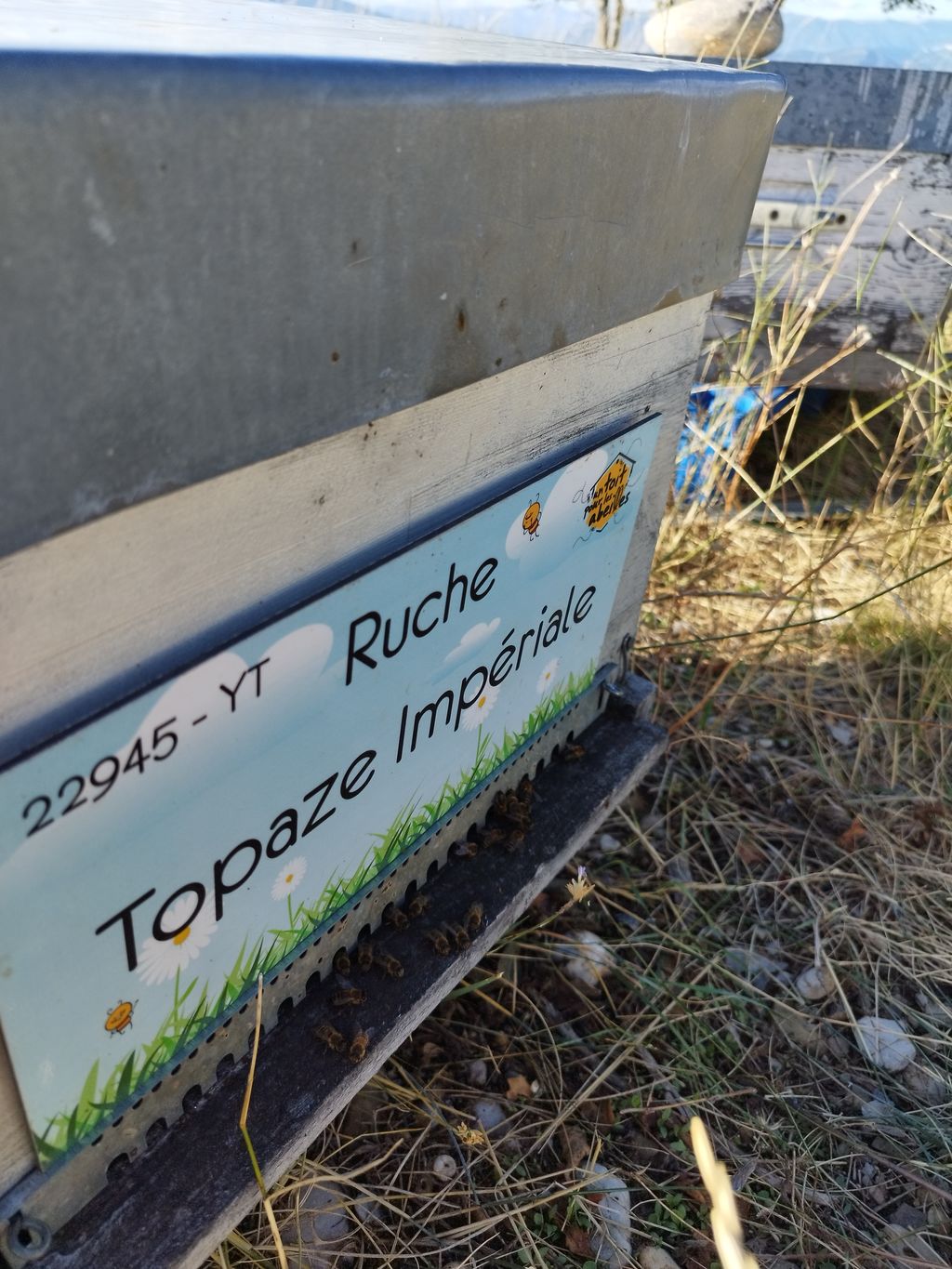 La ruche Topaze Impériale