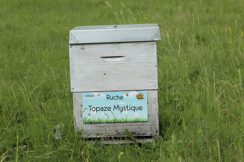 La ruche Topaze Mystique