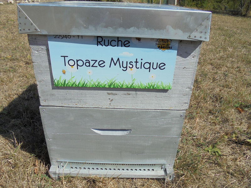 La ruche Topaze Mystique