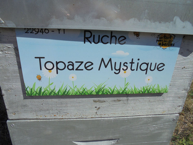 La ruche Topaze Mystique
