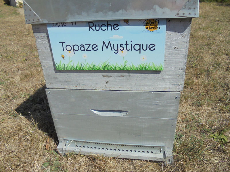 La ruche Topaze Mystique