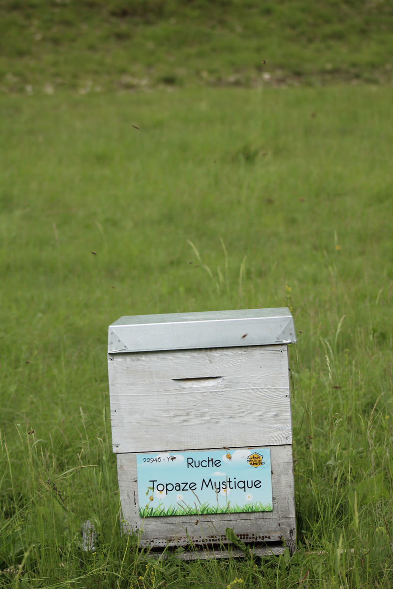 La ruche Topaze Mystique