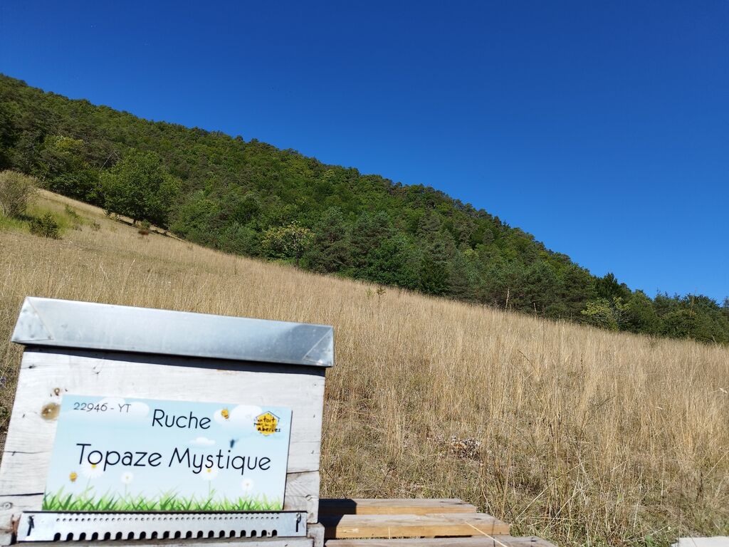 La ruche Topaze Mystique