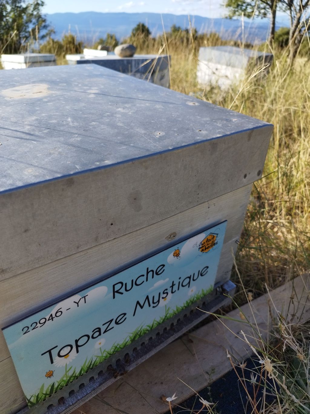 La ruche Topaze Mystique