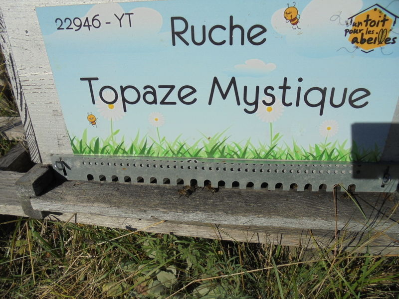 La ruche Topaze Mystique