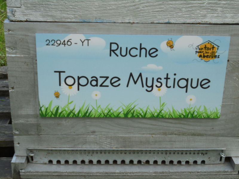 La ruche Topaze Mystique