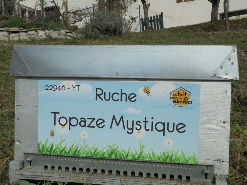 La ruche Topaze Mystique