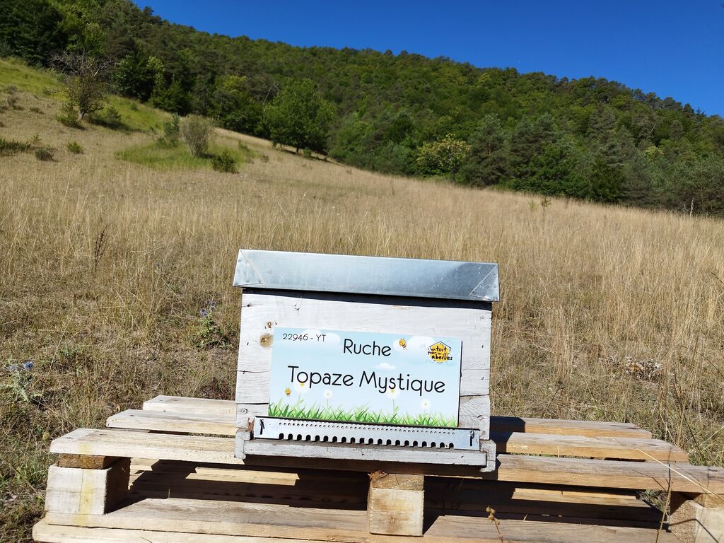 La ruche Topaze Mystique