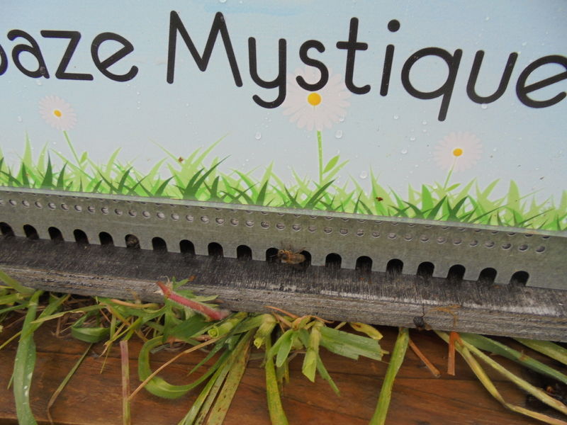La ruche Topaze Mystique