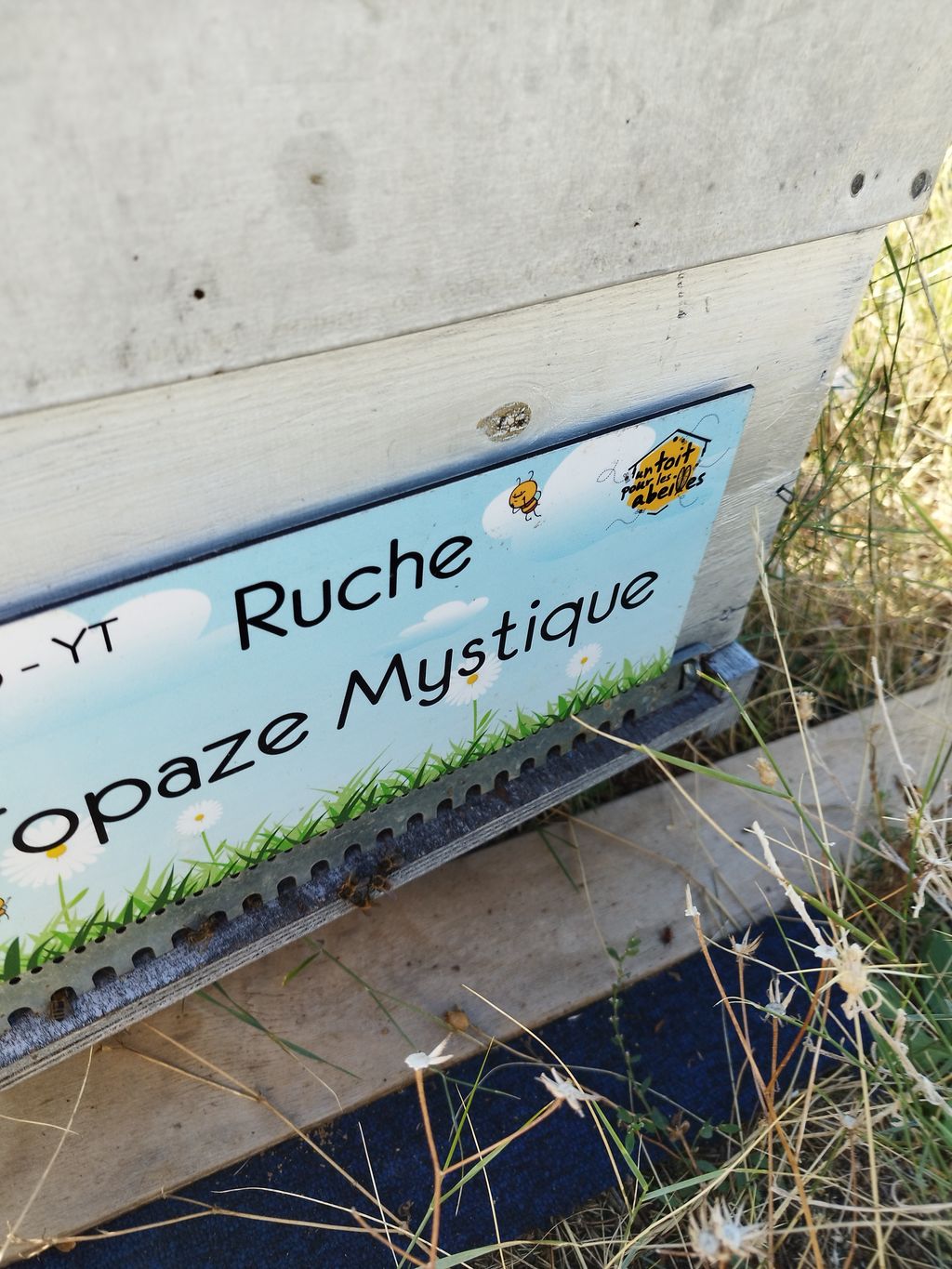 La ruche Topaze Mystique