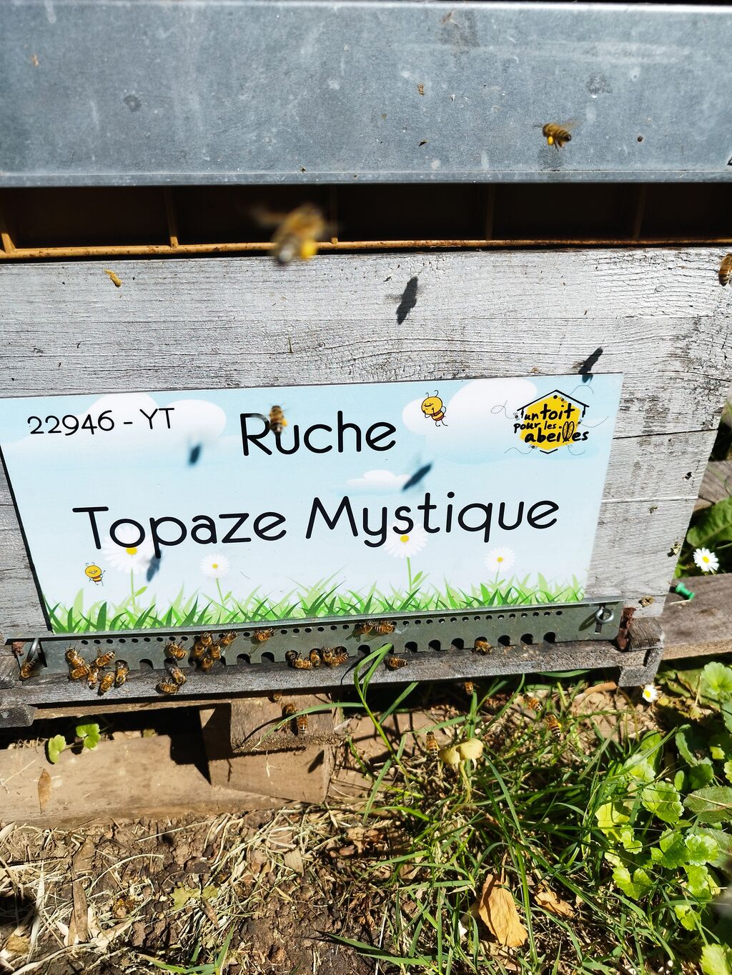 La ruche Topaze Mystique