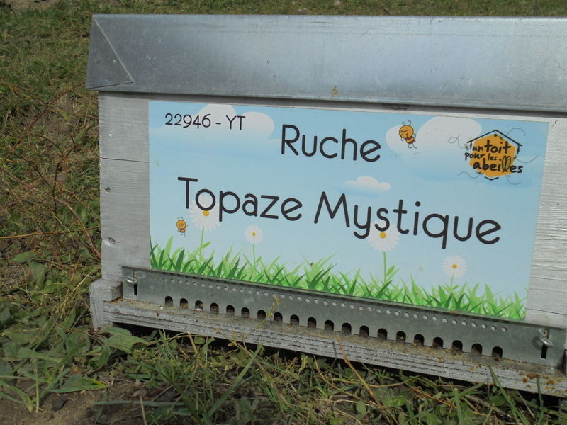 La ruche Topaze Mystique
