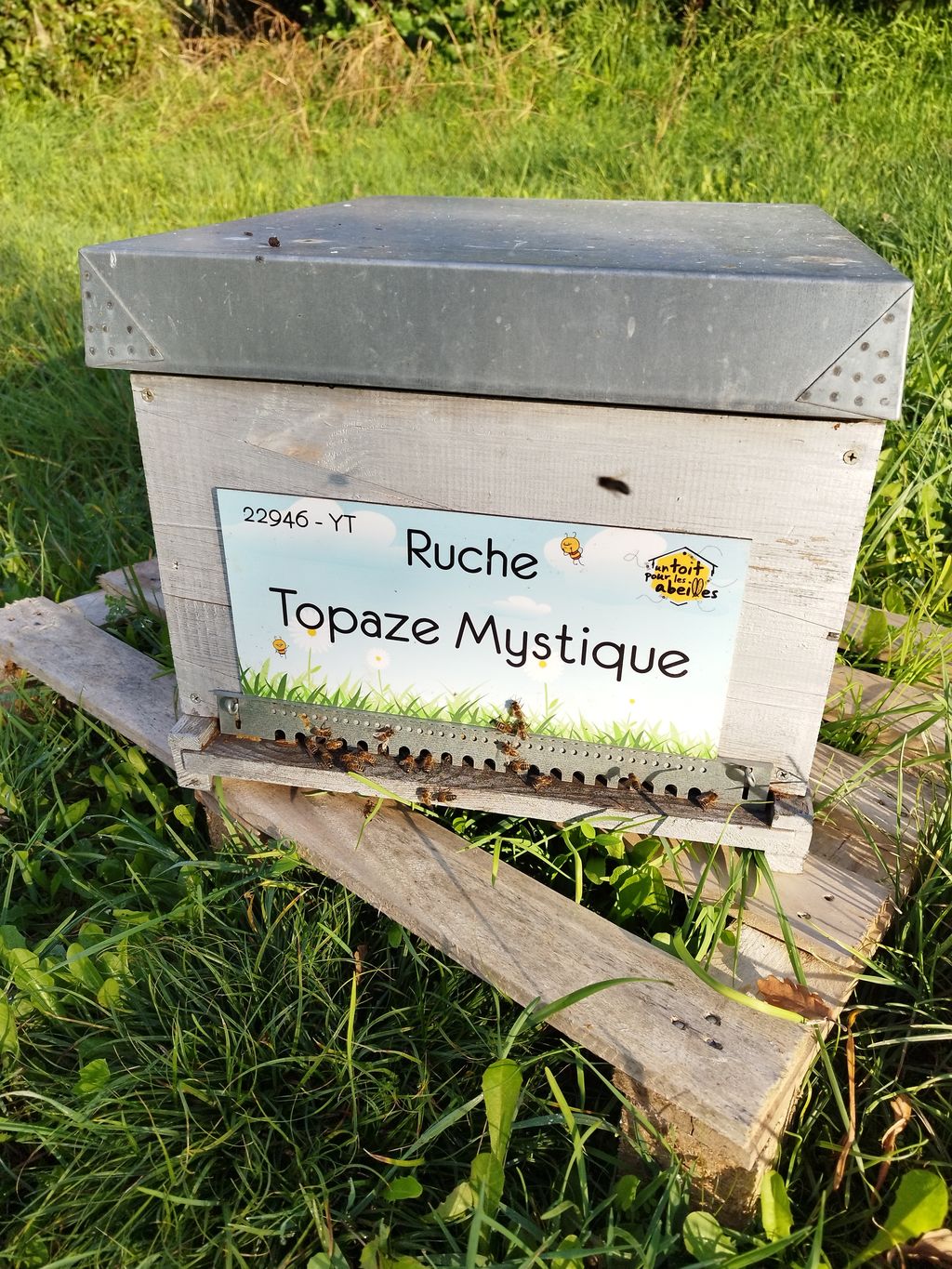 La ruche Topaze Mystique