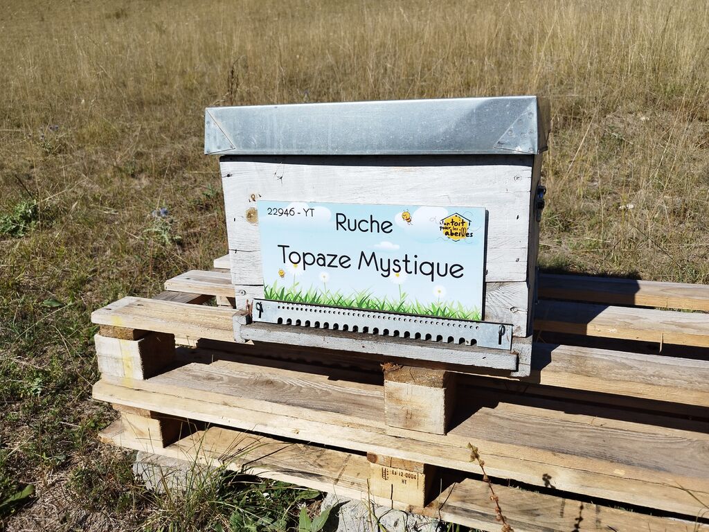 La ruche Topaze Mystique