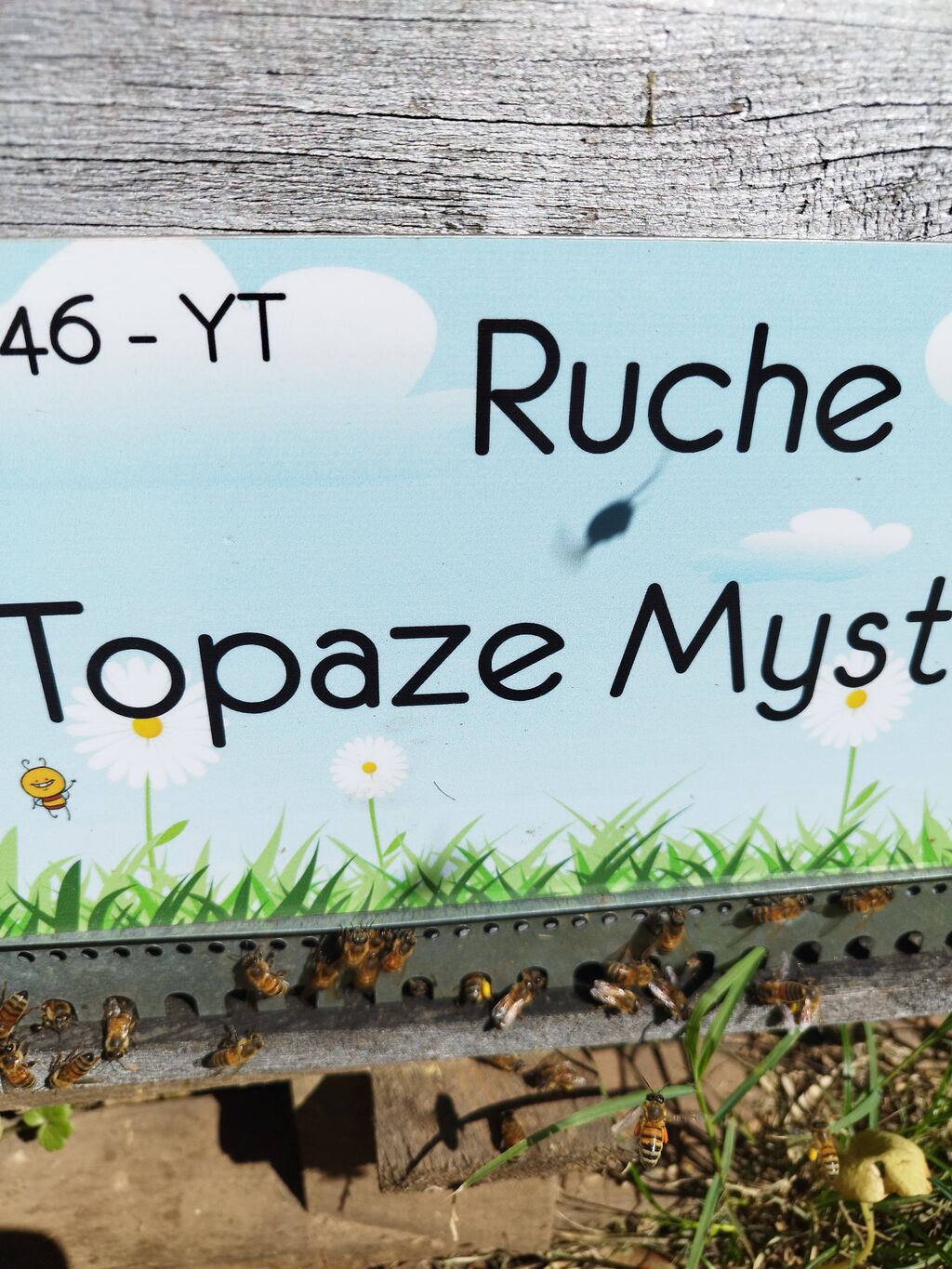 La ruche Topaze Mystique