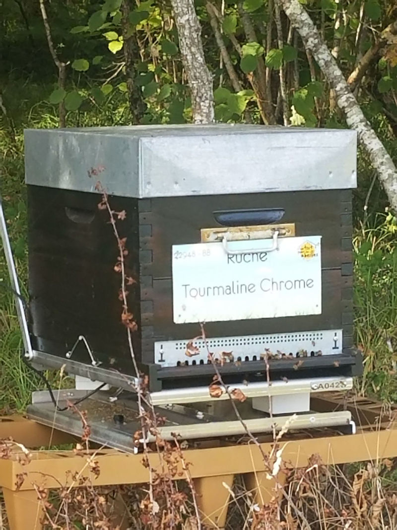 La ruche Tourmaline Chrome