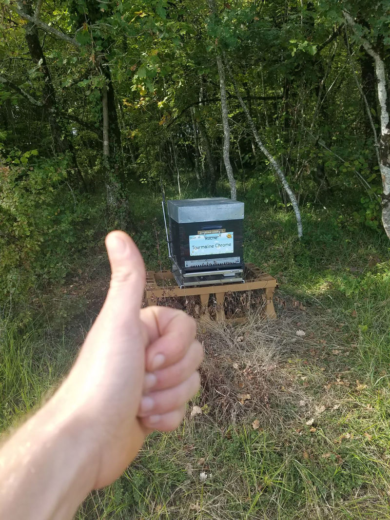 La ruche Tourmaline Chrome