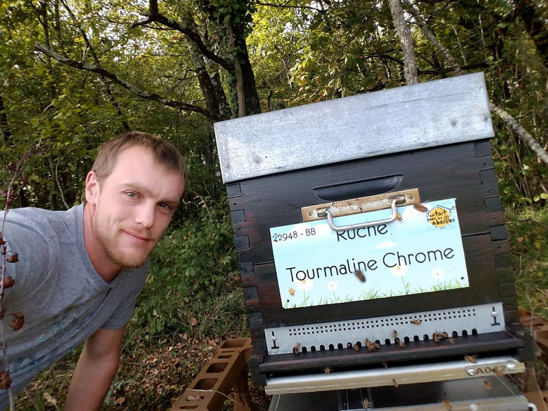 La ruche Tourmaline Chrome