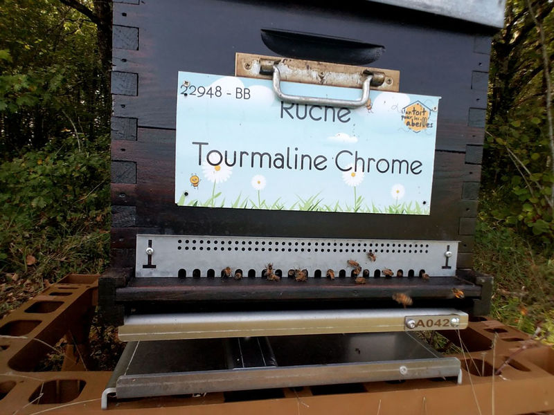 La ruche Tourmaline Chrome