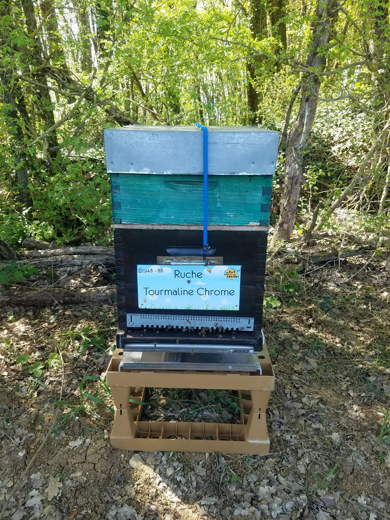La ruche Tourmaline Chrome