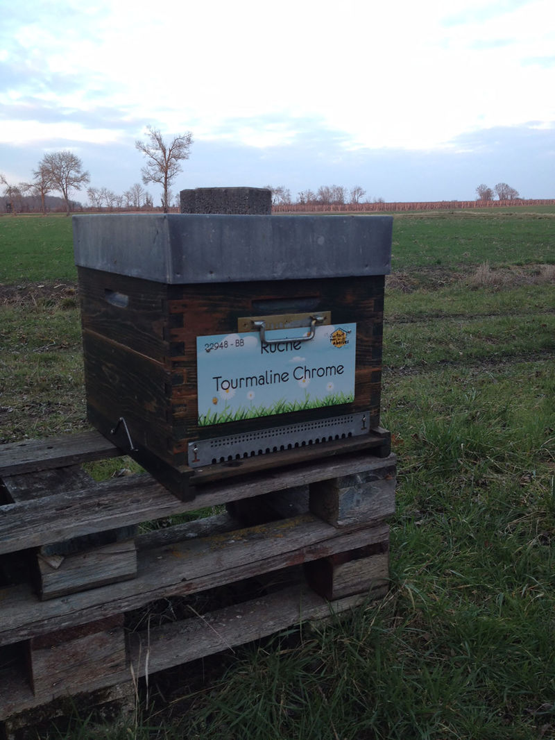 La ruche Tourmaline Chrome