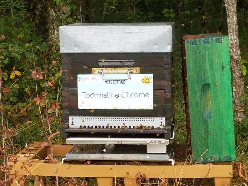 La ruche Tourmaline Chrome