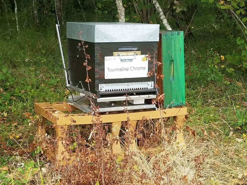 La ruche Tourmaline Chrome