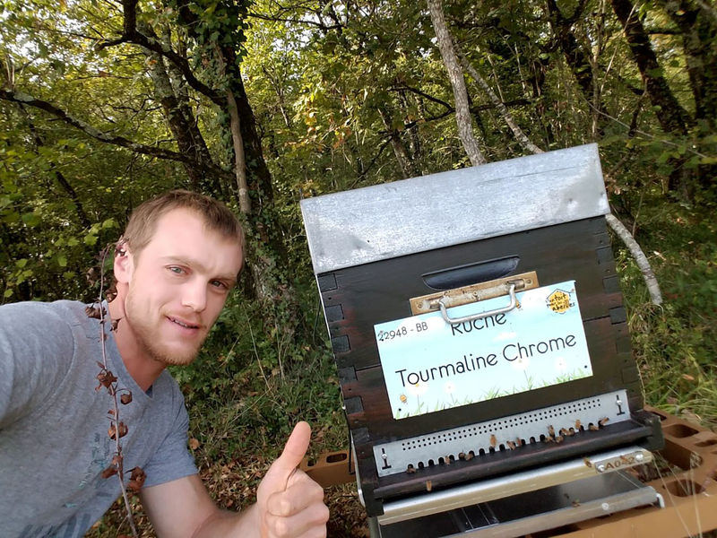 La ruche Tourmaline Chrome