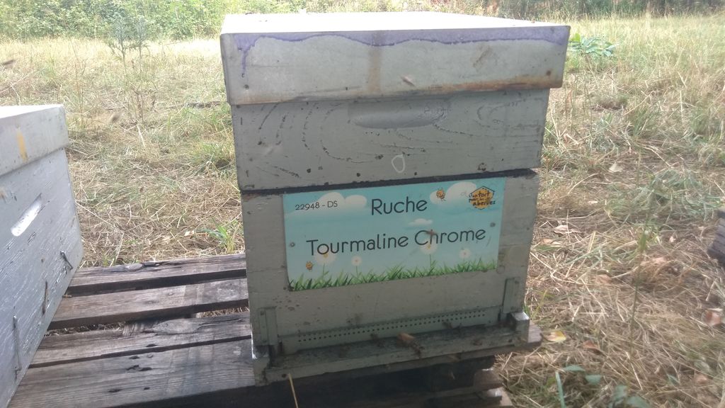 La ruche Tourmaline Chrome