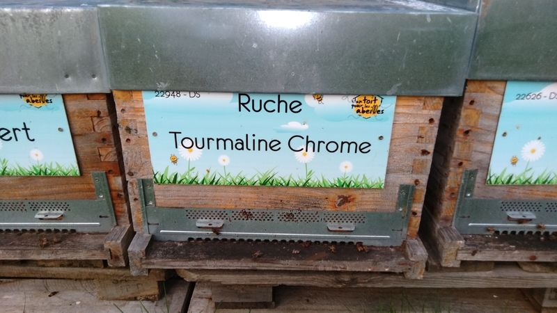 La ruche Tourmaline Chrome