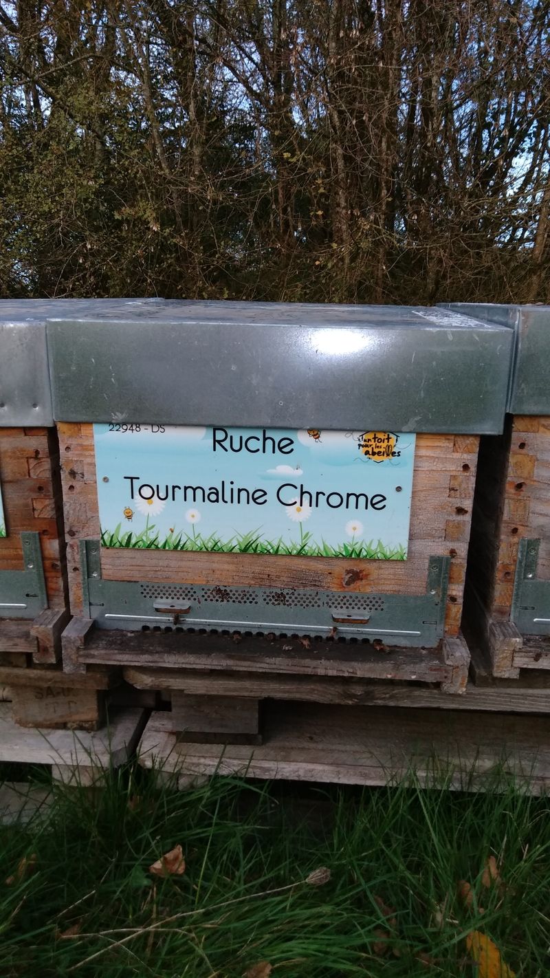 La ruche Tourmaline Chrome