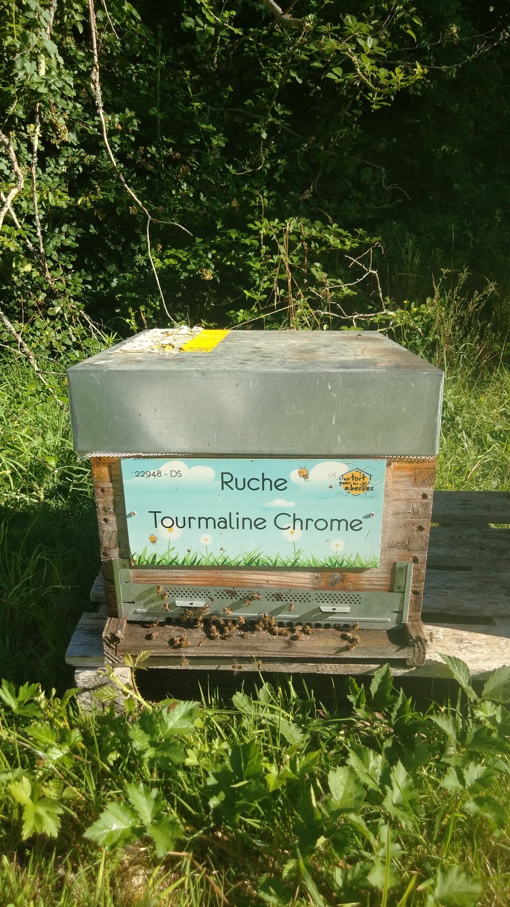La ruche Tourmaline Chrome