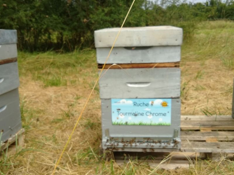 La ruche Tourmaline Chrome