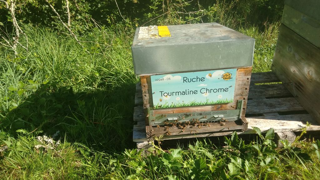 La ruche Tourmaline Chrome