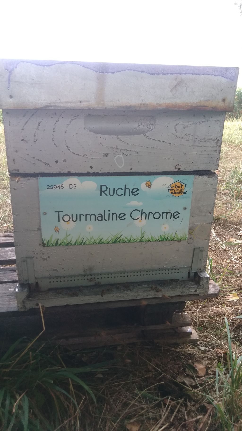 La ruche Tourmaline Chrome