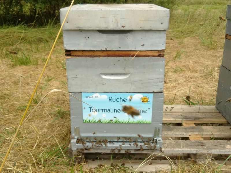 La ruche Tourmaline Chrome