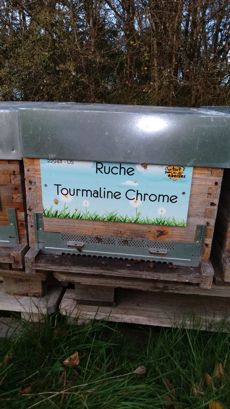 La ruche Tourmaline Chrome