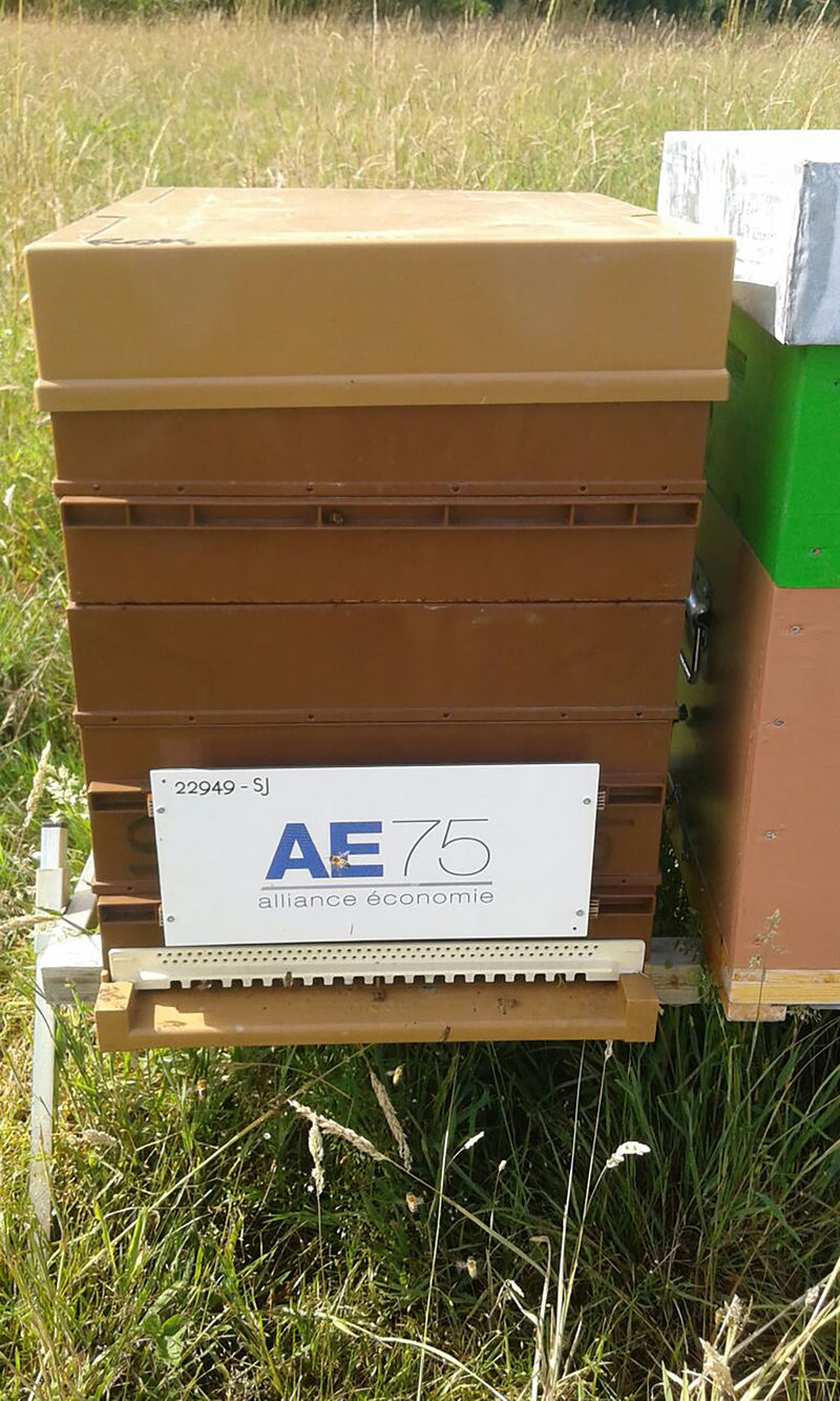 La ruche AE75