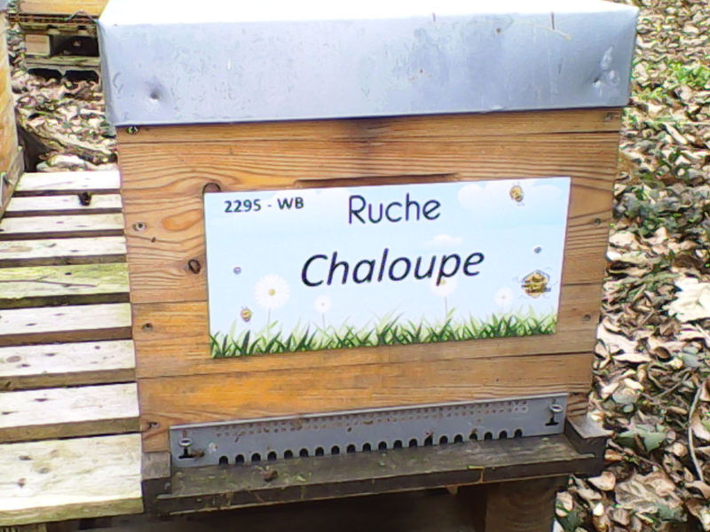 La ruche