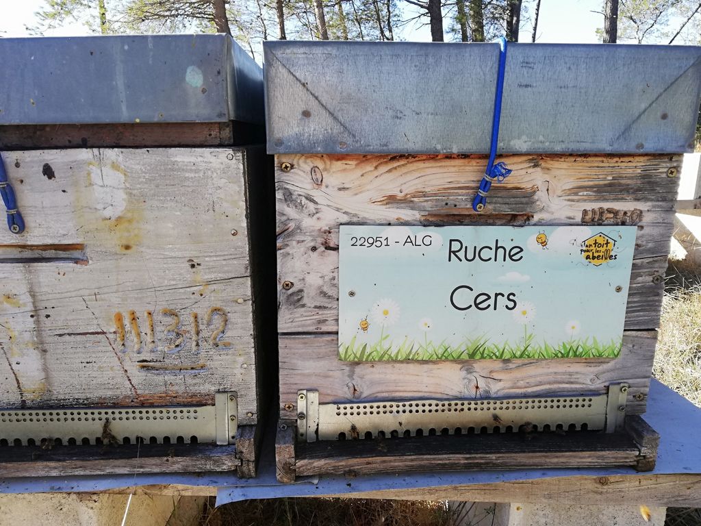 La ruche Cers