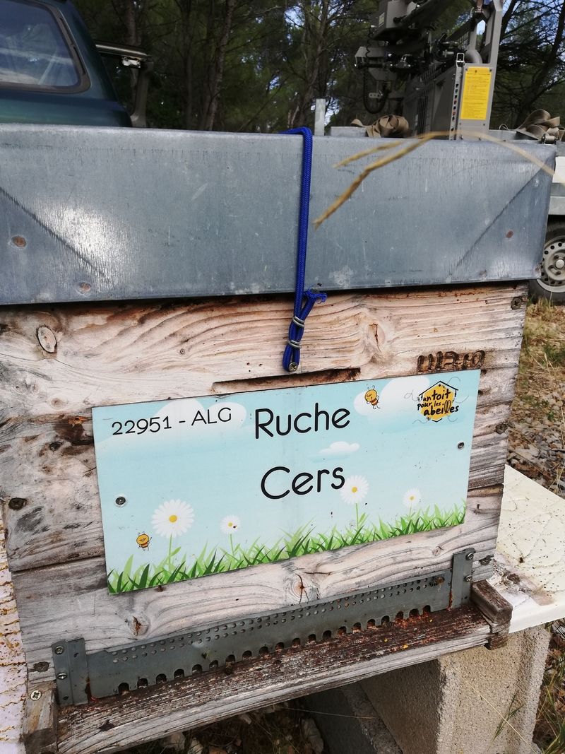 La ruche Cers