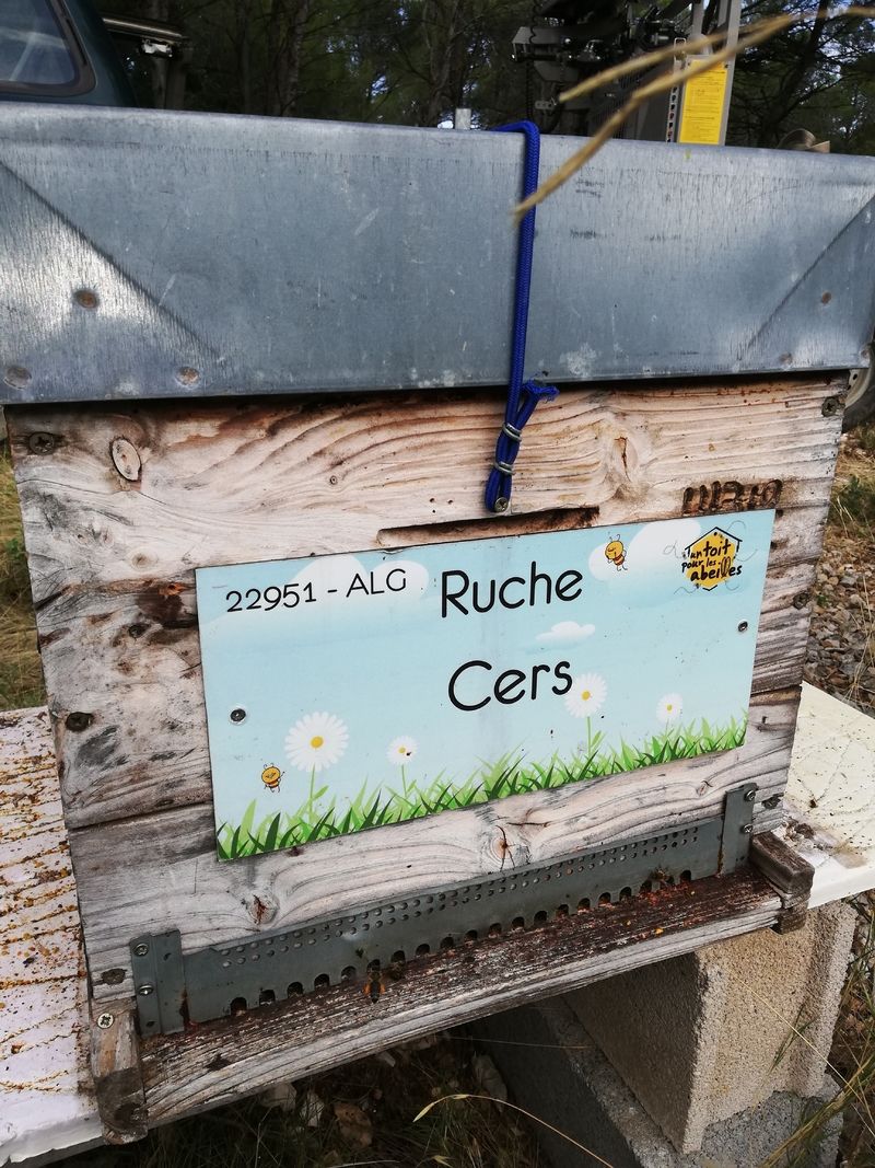 La ruche Cers
